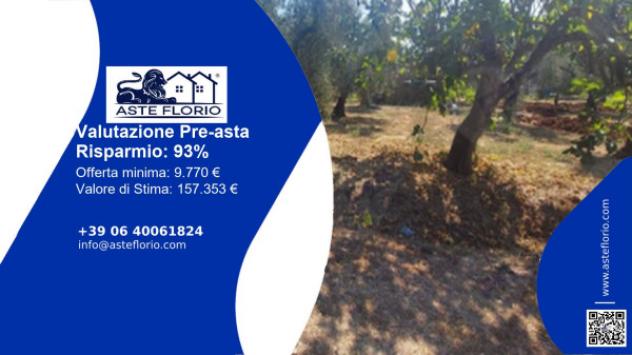 terreno agricolo in vendita a Sonnino