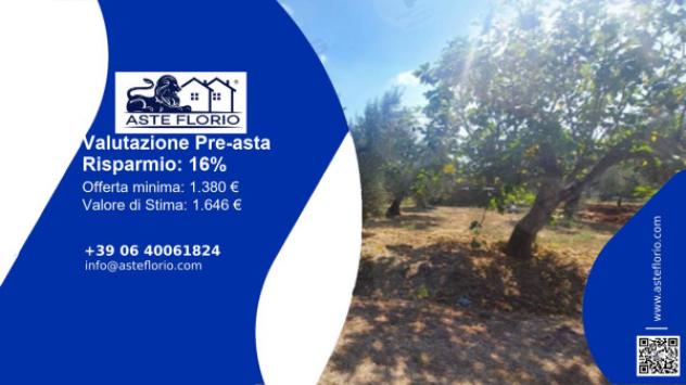 terreno agricolo in vendita a Sonnino