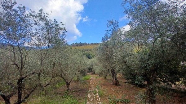 terreno agricolo in vendita a Sonnino