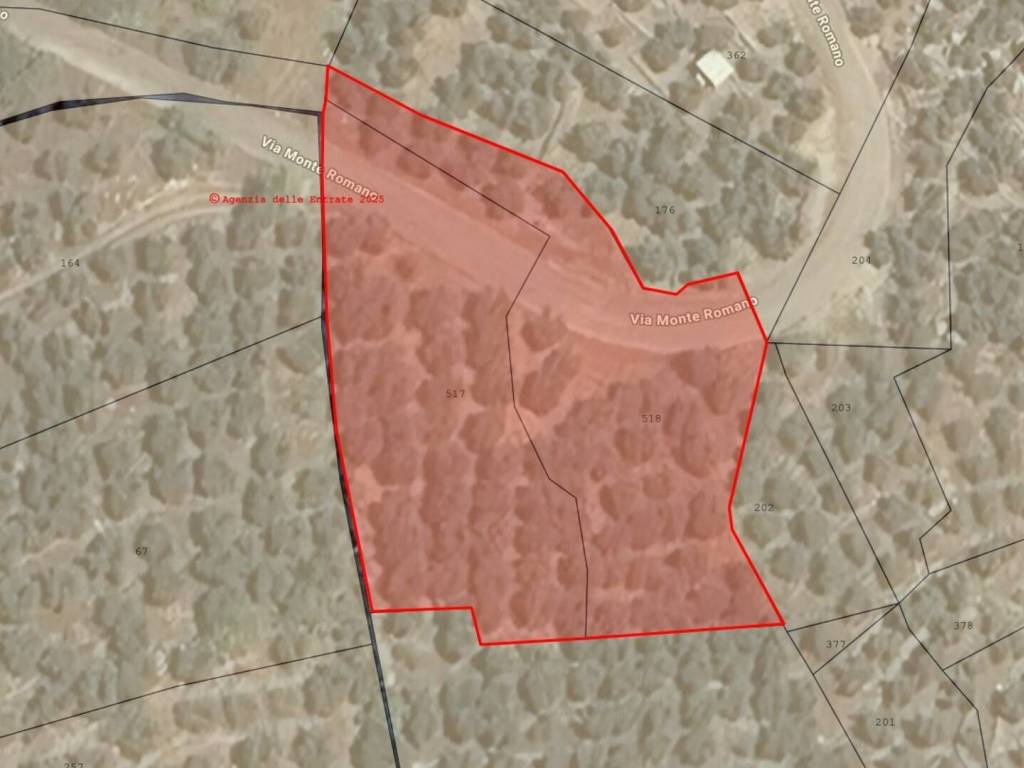 terreno agricolo in vendita a Sonnino