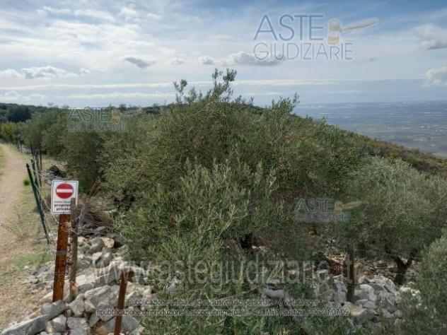 terreno agricolo in vendita a Sonnino