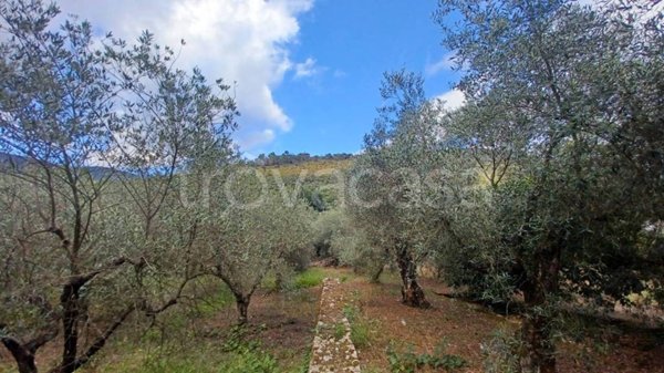terreno agricolo in vendita a Sonnino