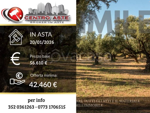 casa indipendente in vendita a Sonnino