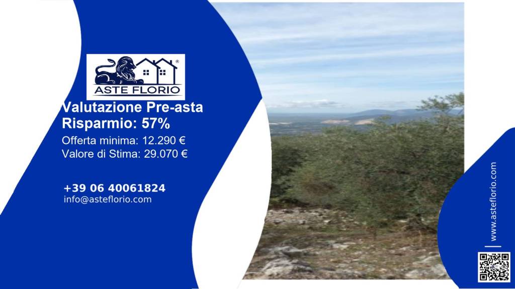 terreno agricolo in vendita a Sonnino