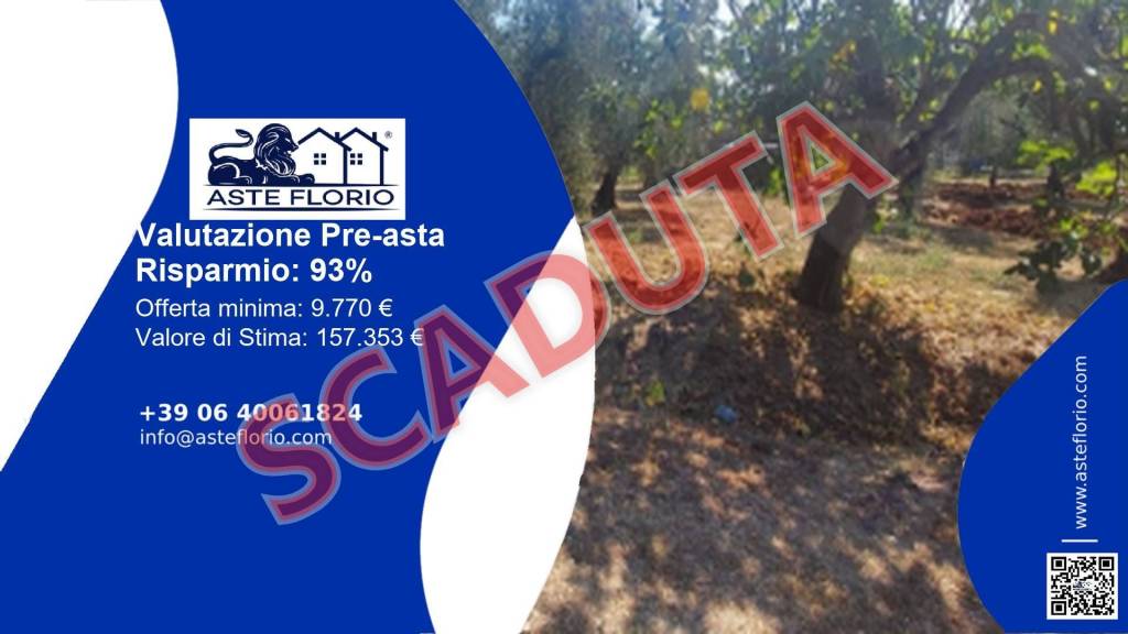 terreno agricolo in vendita a Sonnino