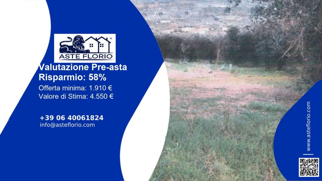 terreno agricolo in vendita a Sonnino