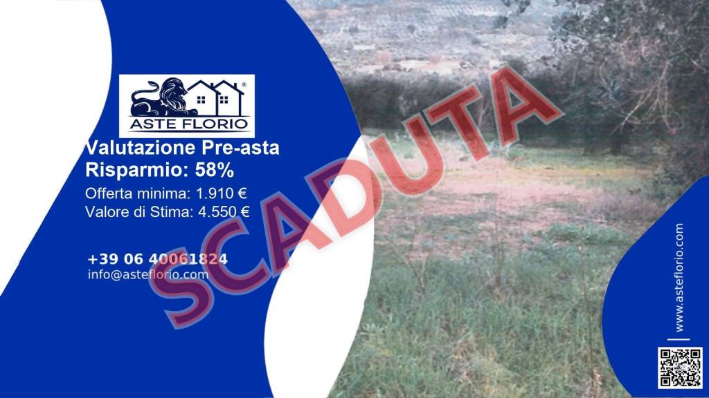 terreno agricolo in vendita a Sonnino