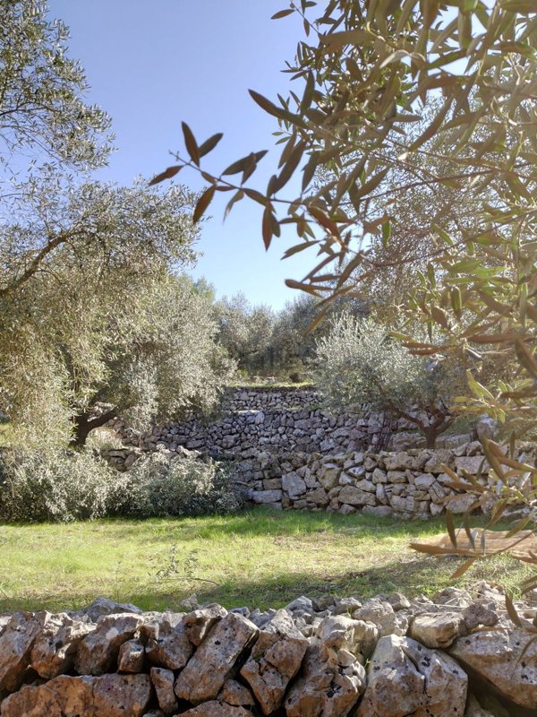 casa indipendente in vendita a Sonnino in zona Cascano