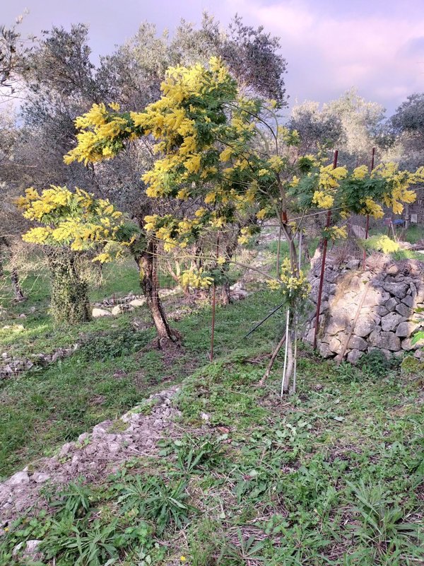 locale di sgombero in vendita a Sonnino