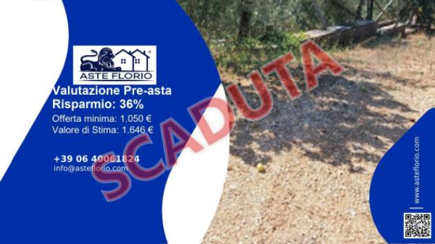 terreno agricolo in vendita a Sonnino