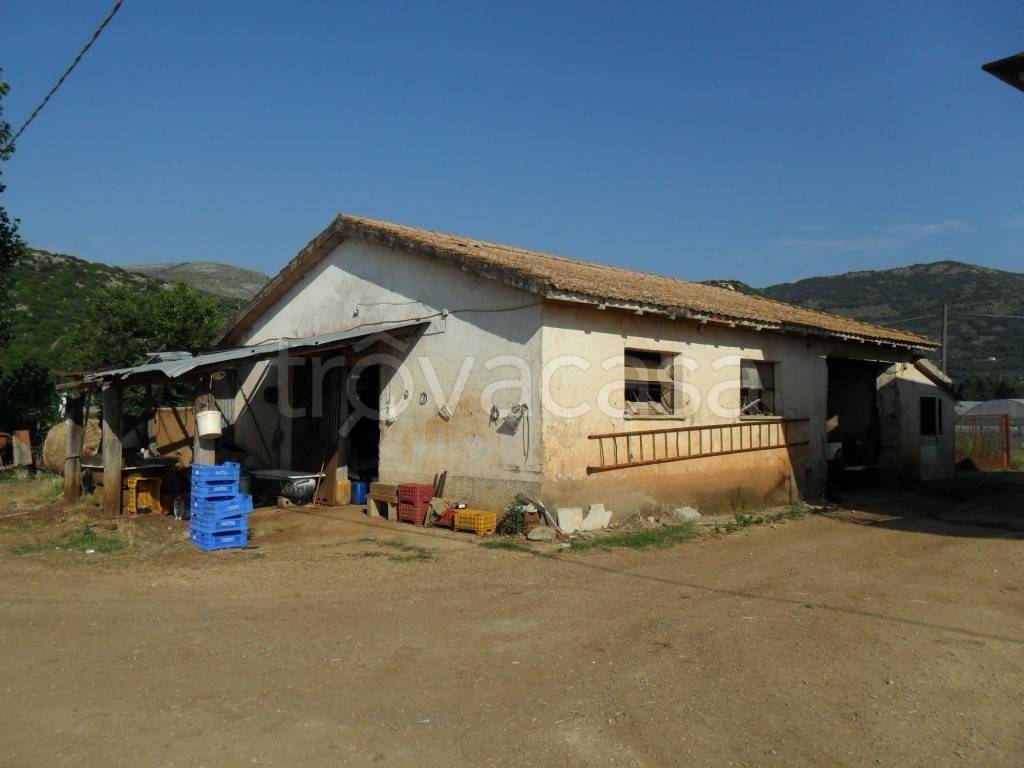 negozio in vendita a Sonnino