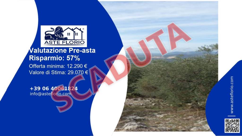 terreno agricolo in vendita a Sonnino