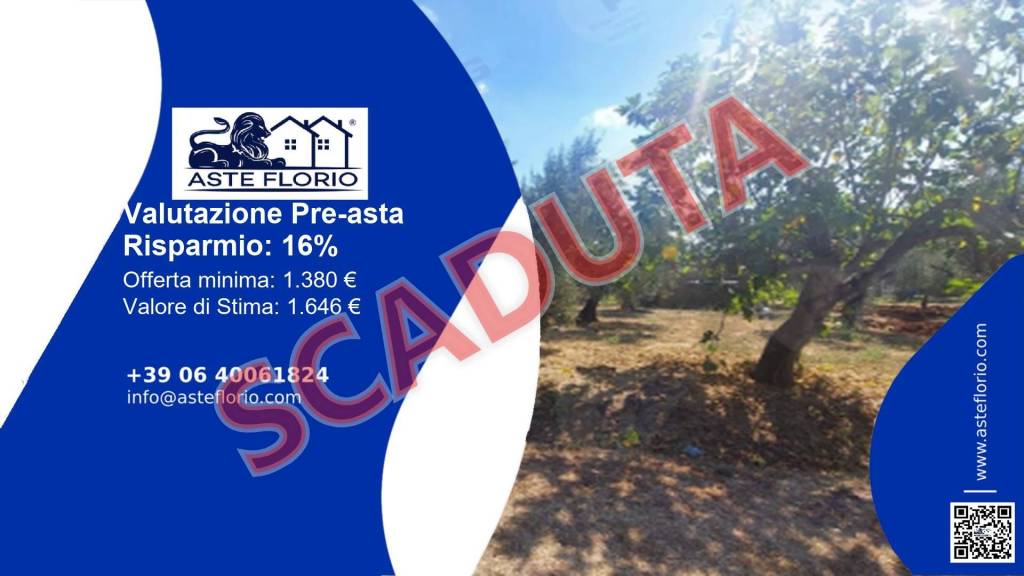 terreno agricolo in vendita a Sonnino