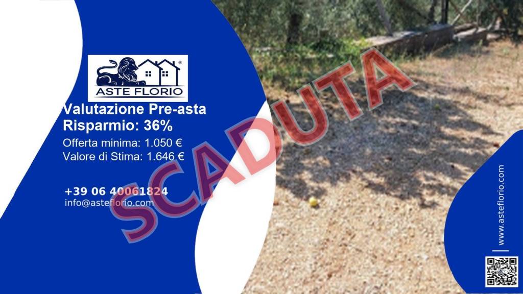 terreno agricolo in vendita a Sonnino