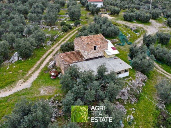 terreno agricolo in vendita a Sonnino