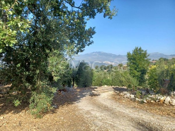 terreno agricolo in vendita a Sonnino