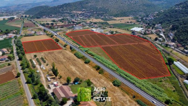 terreno agricolo in vendita a Sonnino in zona Frasso