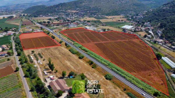 terreno in vendita a Sonnino in zona Frasso