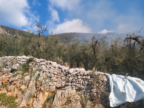 terreno agricolo in vendita a Sonnino in zona Cerreto