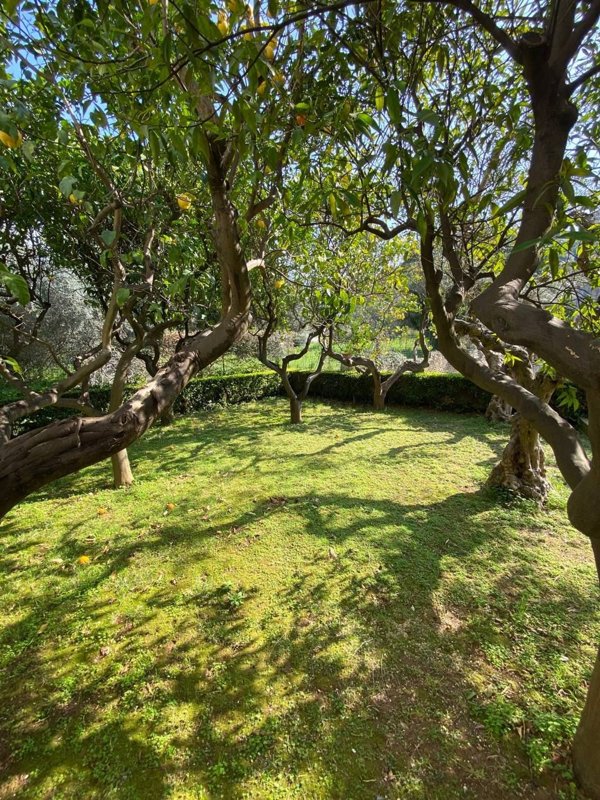 appartamento in vendita a Sperlonga