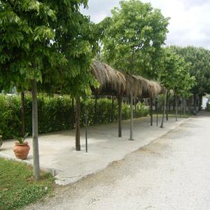 casa indipendente in vendita a Sperlonga
