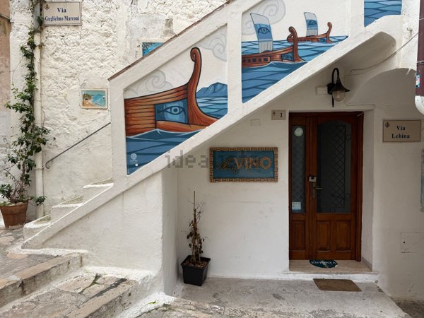 locale commerciale in vendita a Sperlonga