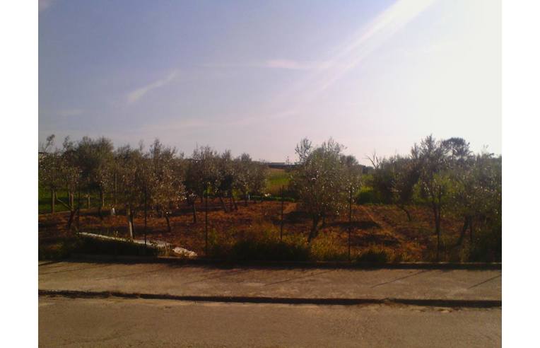 terreno in vendita a Sperlonga