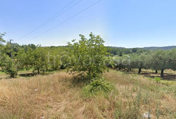 terreno agricolo in vendita a Spigno Saturnia in zona Capodacqua