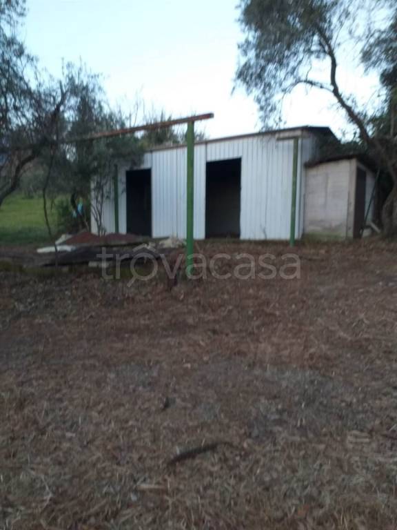 terreno agricolo in vendita a Spigno Saturnia