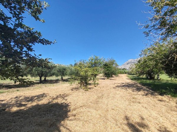 terreno agricolo in vendita a Spigno Saturnia in zona Capodacqua