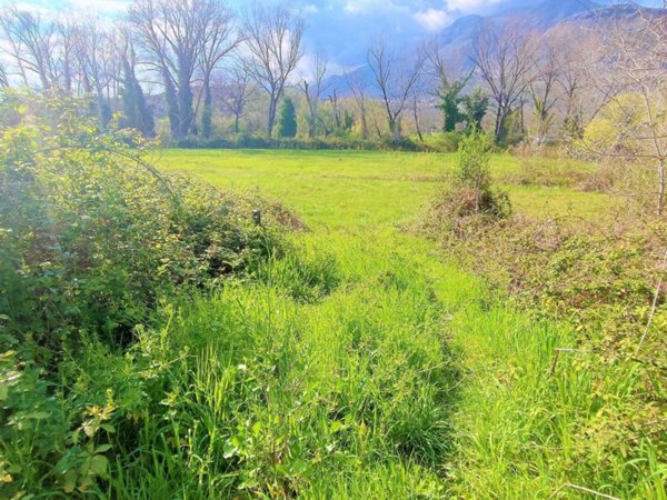 terreno agricolo in vendita a Spigno Saturnia