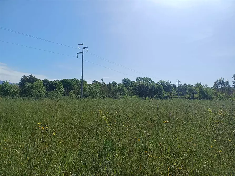 terreno agricolo in vendita a Spigno Saturnia