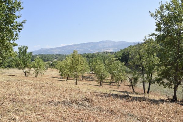 terreno agricolo in vendita a Spigno Saturnia