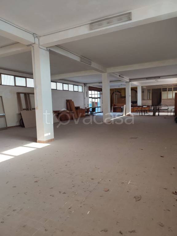 negozio in vendita a Spigno Saturnia