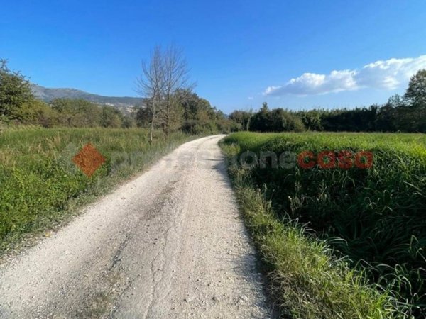 terreno agricolo in vendita a Spigno Saturnia