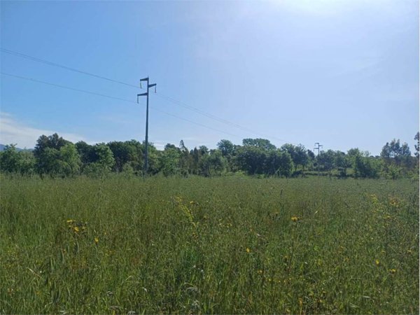 terreno agricolo in vendita a Spigno Saturnia