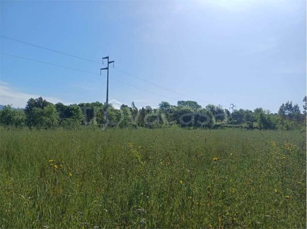 terreno agricolo in vendita a Spigno Saturnia