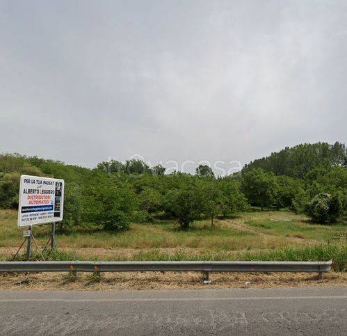 terreno agricolo in vendita a Spigno Saturnia