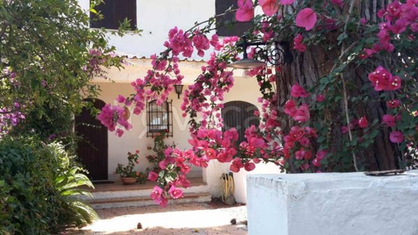 casa indipendente in vendita a Terracina