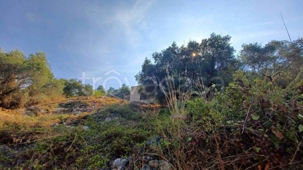 terreno agricolo in vendita a Terracina