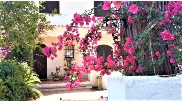 casa indipendente in vendita a Terracina