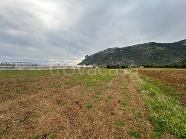 terreno agricolo in vendita a Terracina