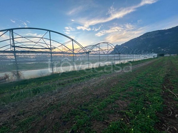 terreno agricolo in vendita a Terracina