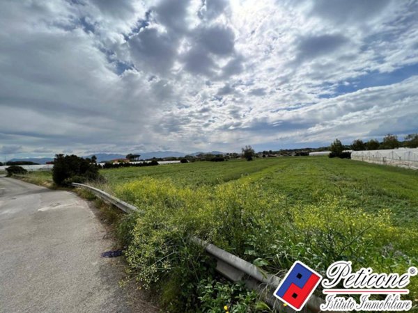terreno agricolo in vendita a Terracina