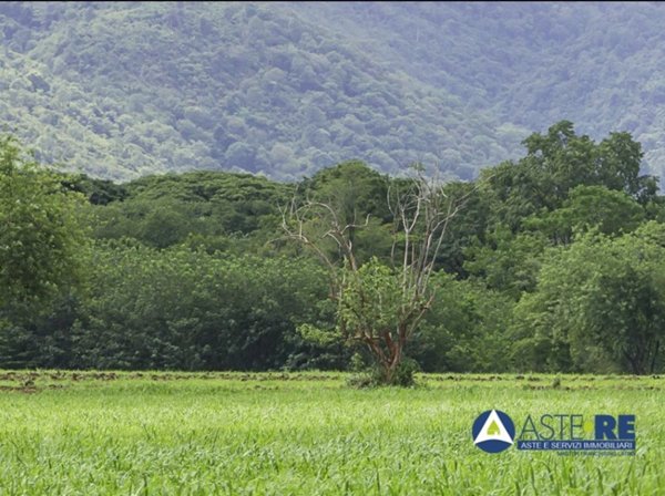 terreno agricolo in vendita a Terracina
