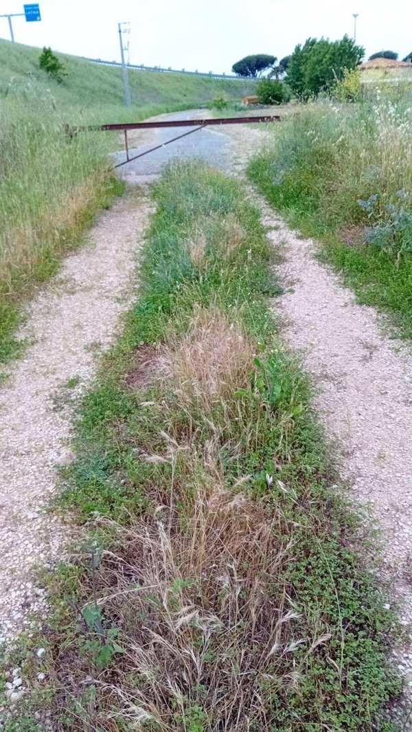 terreno agricolo in vendita a Terracina in zona La Fiora