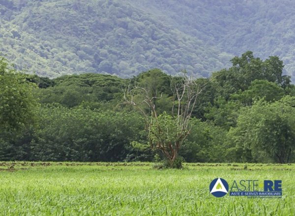 terreno agricolo in vendita a Terracina