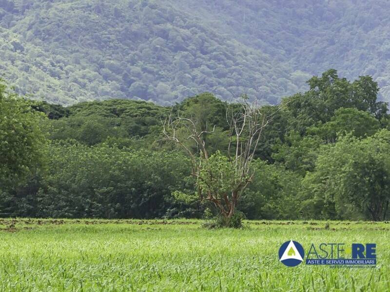 terreno agricolo in vendita a Terracina