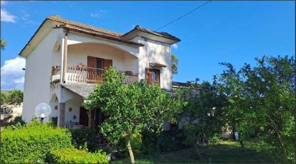 esavano in vendita a Terracina