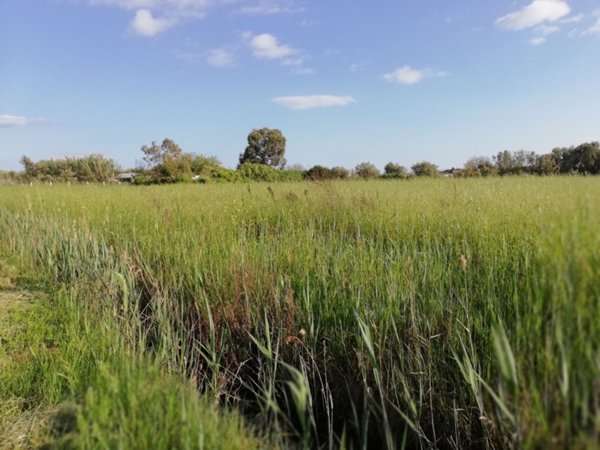terreno agricolo in vendita a Terracina